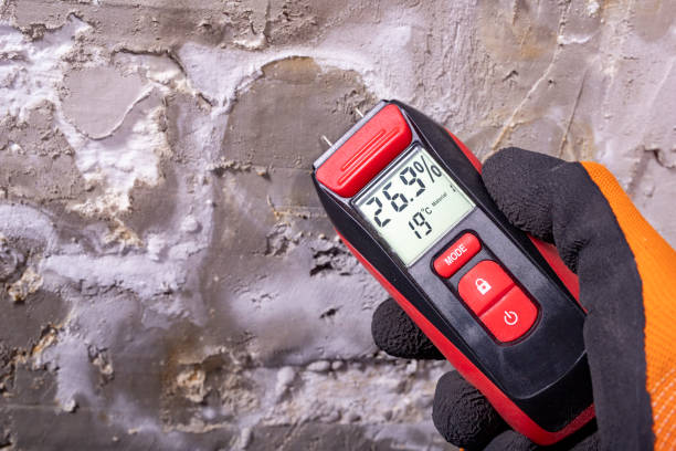 Best Mold Damage Repair  in Jim Thorpe, PA