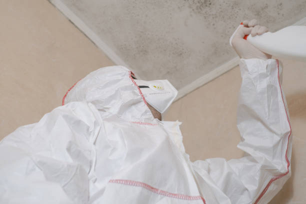 Best Fast Mold Removal  in Jim Thorpe, PA